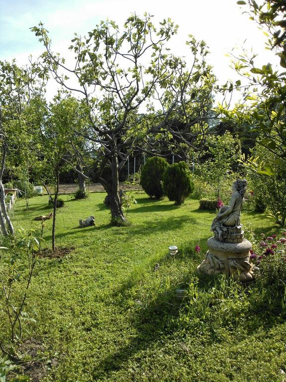 Apartments Lana Stari Grad Kültér fotó